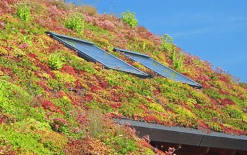 Shakeford living roof systems