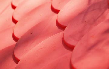 Shakeford plastic roof costs