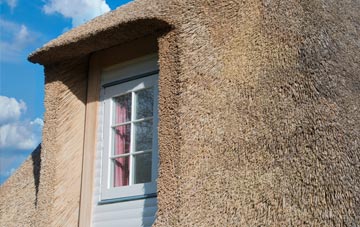 Shakeford thatch roof disadvantages